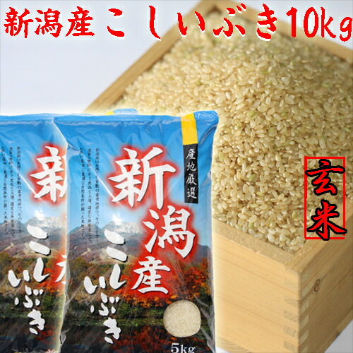 米 令和6年 新潟産 こしいぶき 玄米 10kg 送料無料 5kg×2個 げんまい 新潟米 玄米 10キロ おいしいお米 新潟 米 ギフト 新潟産 げんまい 贈り物 プレゼント