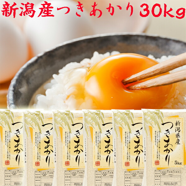お米　石川県産つきあかり10kg つきあかり 白米 10キロ 10kg 令和6年産 (送料込み) | 米・穀物