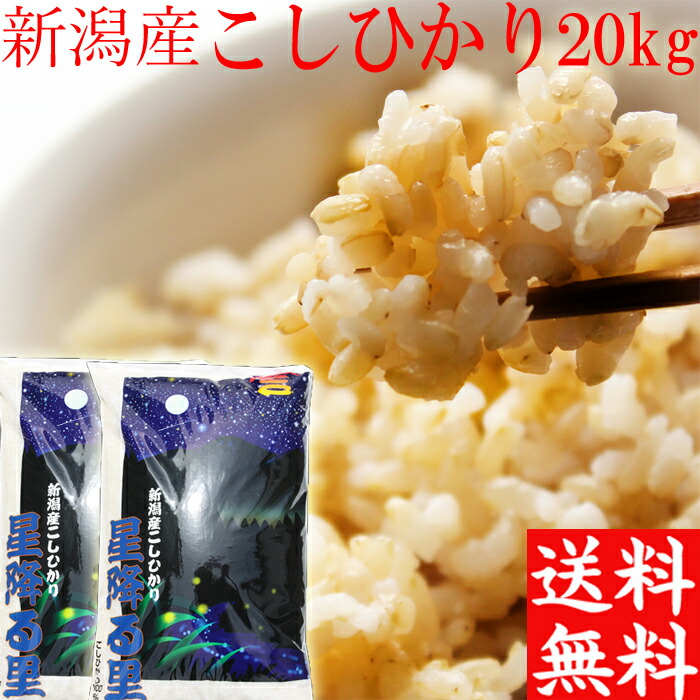 米 令和6年 新潟産 コシヒカリ 玄米 送料無料 20kg 10kg×2袋 新潟 こしひかり 新潟米 こしひかり 玄米 20キロ 送料無料 プレゼント入り お得 米 お米 おいしいお米 美味しいお米 お取り寄せ 新潟産 新潟県