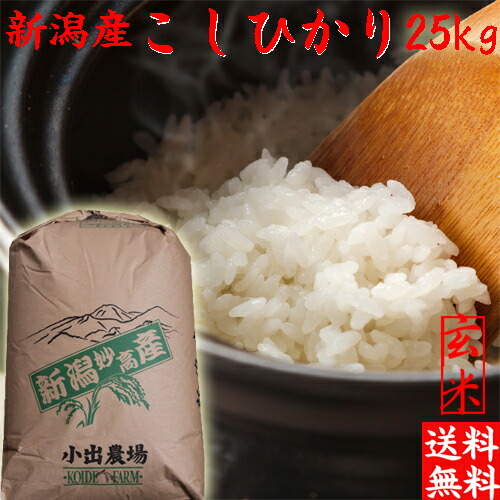 米 令和6年 新潟産 こしひかり 玄米 送料無料 新潟 こしひかり お米 25kg 新潟産 お得米 25キロ 新潟産 白米 25kg おいしいお米 美味しいお米 お取り寄せ 新潟産 新潟県産 新潟県米 産地直送