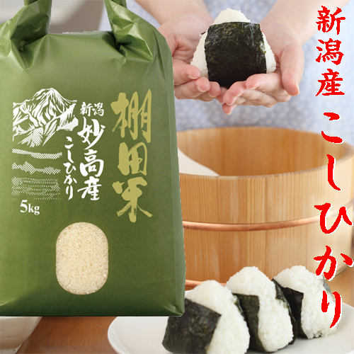 米 令和6年 新潟産 棚田米 コシヒカリ 米 5kg 新潟 こしひかり 高級米 新潟県産 白米