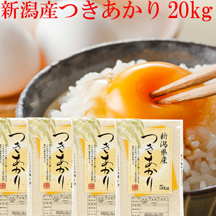 楽天市場】米 令和6年 新潟産 コシヒカリ 無洗米 20kg 送料無料