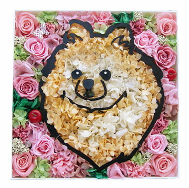 21秋冬新作 送料無料 マイペットフラワーbigサイズ プリザーブドフラワー ギフト 写真から作るお花全身入り お花 ボックスフラワー Nhk おはよう日本 まちかど情報室 誕生日 結婚祝い 敬老の日 Gift 犬 猫 うさぎ ペット メモリアルグッズ メモリアル 記念日 母の日