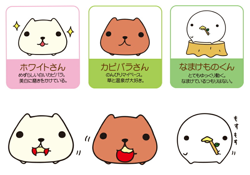 送料無料 ラウンド カピバラさん プリザーブドフラワー 父の日 ギフト 枯れない お花 敬老の日 キャラクター ホワイトさん なまけものくん おもしろ グッズ 誕生日 プレゼント 贈りもの 母の日キャラクター お祝い 飼育員 プリザ お礼 フラワーボックス Cooltonindia Com