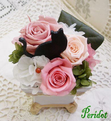 楽天市場】新作「魔法ずかん」魔法使いの黒ねこ 誕生日 結婚祝い