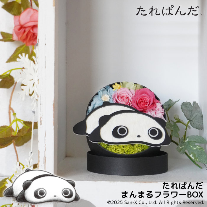 楽天市場】新作 「すみっコぐらし とかげととかげのおかあさんの
