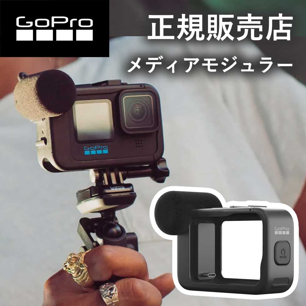 GoProメディアモジュラー +ミクロ 美品 9.10.11.12用