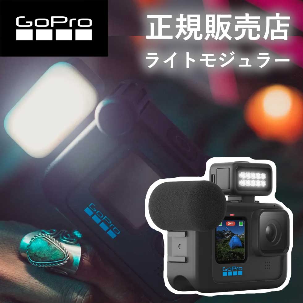 楽天市場】【正規販売店】ゴープロ GoPro gopro メディアモジュラー