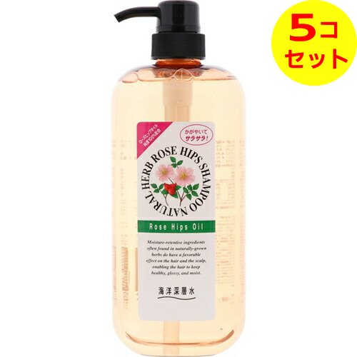 【送料込】 ナチュラルハーブ シャンプー RH 1000ml ×5個セット