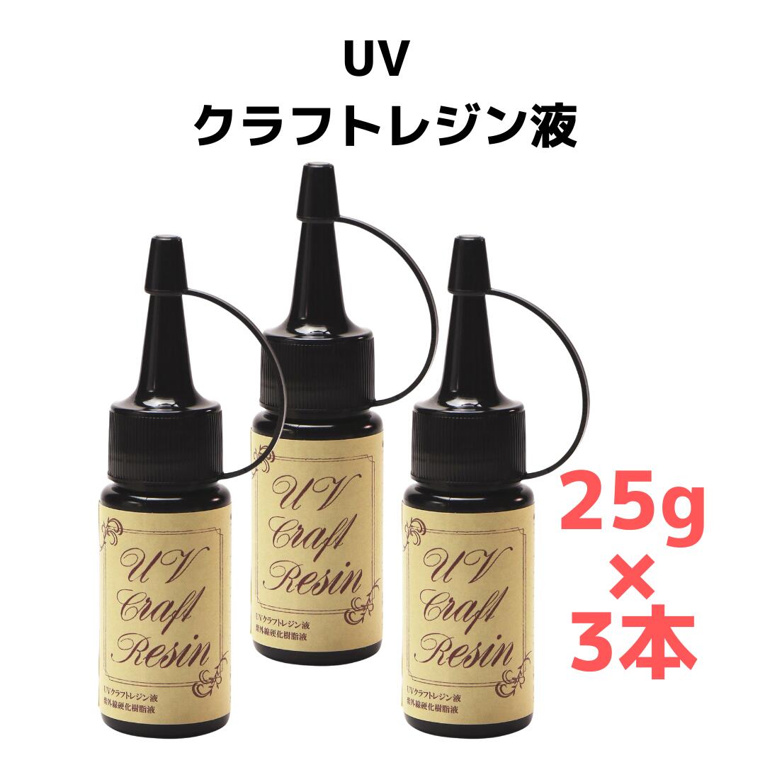 ソルボワ d 清原 UVクラフトレジン液55g 2本 - 通販