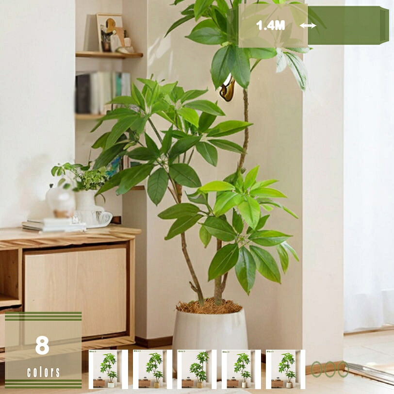 1000円OFFクーポン券 本当の フェイクグリーン 大型 室内用 人工観葉草木 鉢付き添い人 室内装飾緑であること 軽さ 置き分かりやすい 客間・執務室・喫茶店かざり付けるに至適 手間いらずの緑かざり付ける 伸び伸びする位相空間に 人工観葉草木 mysco