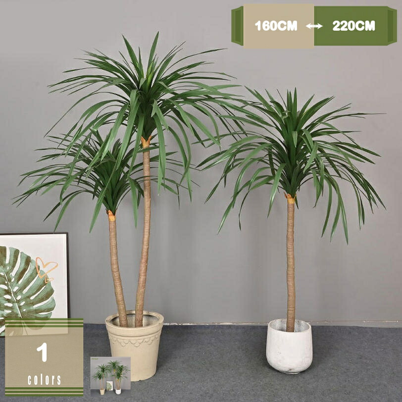 1000円OFFクーポン券 大型 今めかしい 室内装飾緑であること 本当の 観葉草木 人工観葉草木 造花 あずま屋 室内 開店祝賀会 バス発着場 執務室 住みか 執務室かざり付ける用 自然的 屋内 室外 泊まり 分かりやすい 観葉樹 御部屋 位相空間 好いたらしい お取りつくろう 不必要 今めかしい mysco