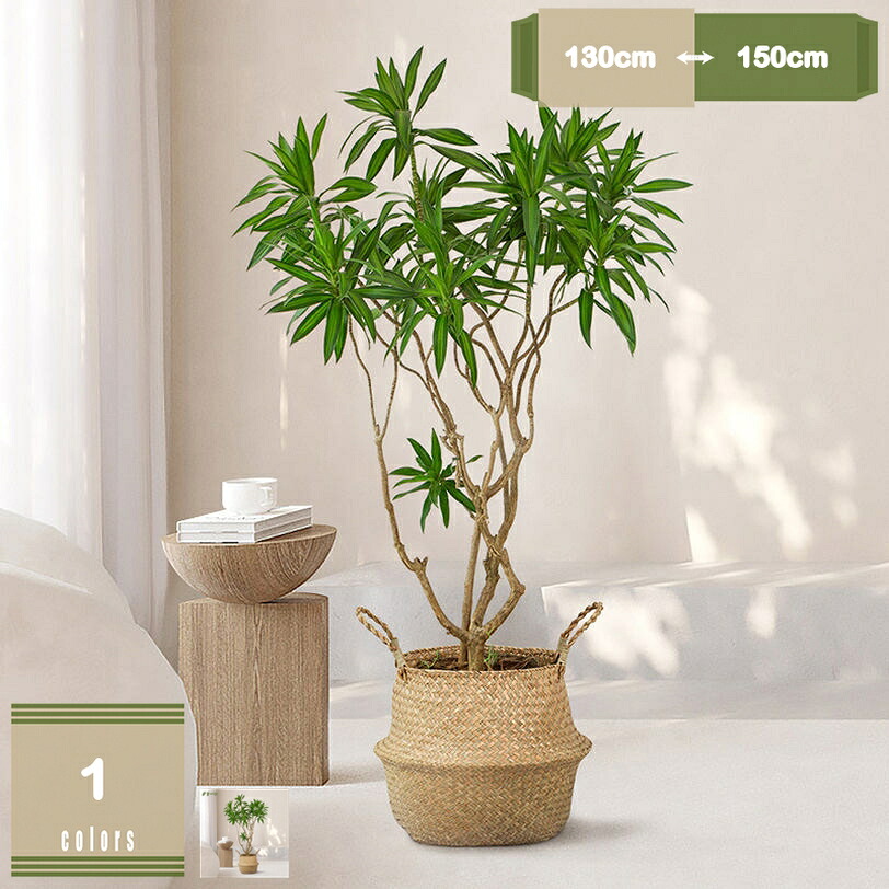 2000円OFFクーポン 観葉植物 フェイク 北欧INS風 フェイクグリーン 人工観葉植物 大型 フェイク植物 造花 インテリア 室内 屋外対応 水やり不要 枯れない 盆栽植物 装飾 玄関 オフィス 商店街 幸願う 新築祝い おしゃれ 飾り リビング オフィス mysco｜まいすこ　店