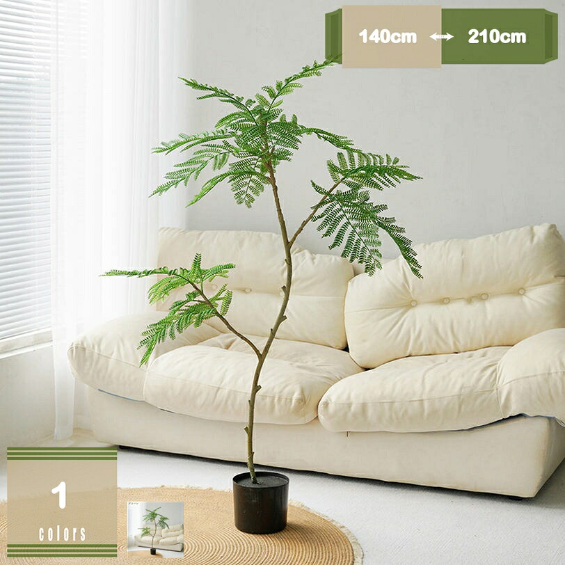 2000円OFFクーポン券 人工観葉草木 フェイクグリーン 観葉草木 ジャカランダ 大型 造花 鉢植え 本物そっくり 水やり不必要 未経験者向け 今めかしい 御祭り 生まれ落ちる日 しっぺい返し 一緒になる 父 母 成人男性 成人女性 差し上げ物 差し上げ物 営造祝賀会 敬老の日 水やり不必要 室内装飾緑であること