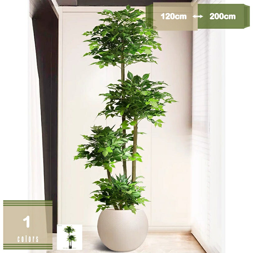 1000円OFFクーポン ドラセナ 観葉植物 フェイクグリーン 新生活 室内 人工 リビング オフィス 一人暮らし 緑 風水 インテリア 人工 造花 人工観葉植物 ナチュラル モダン 北欧 お手入れ不要 幹をグネグネ曲げられる 植木鉢 シンプル 人工観葉樹 お洒落 ギフト｜まいすこ　店