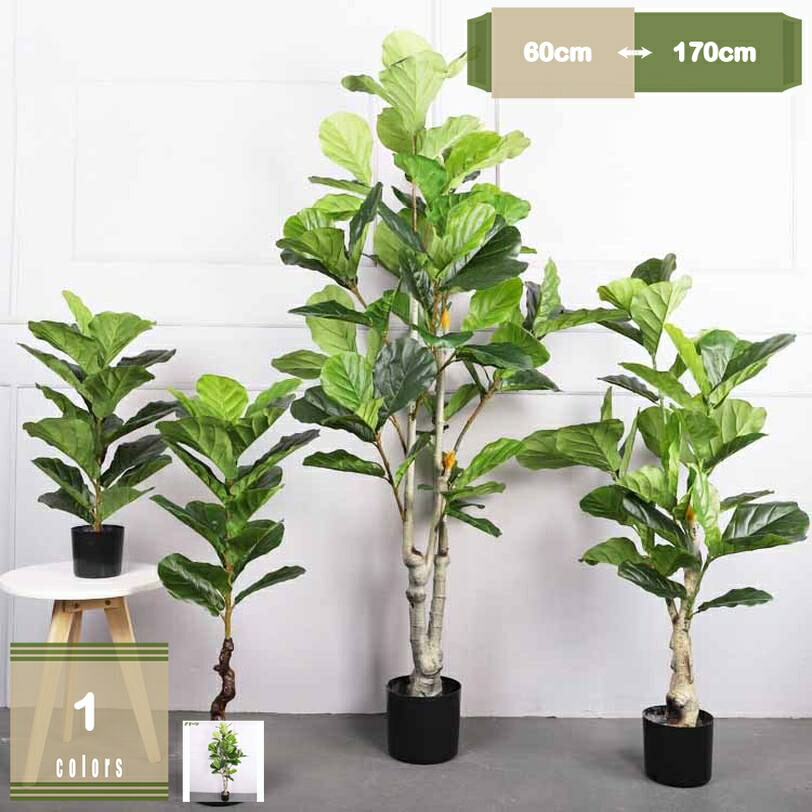 500円OFFクーポン券 フェイクグリーン 大型 フィカス・アルテシマ 本当の 人工観葉草木 観葉草木 まがい物 造花 室内装飾 室内 執務室 今めかしい かざり付ける 仕合わせの木 本物そっくり 常緑樹 北欧 癒し 鉢植え お取りつくろう飾り気の無い 水やり不必要 虫害気づかわしさなし 分かりやすい 開店 営造