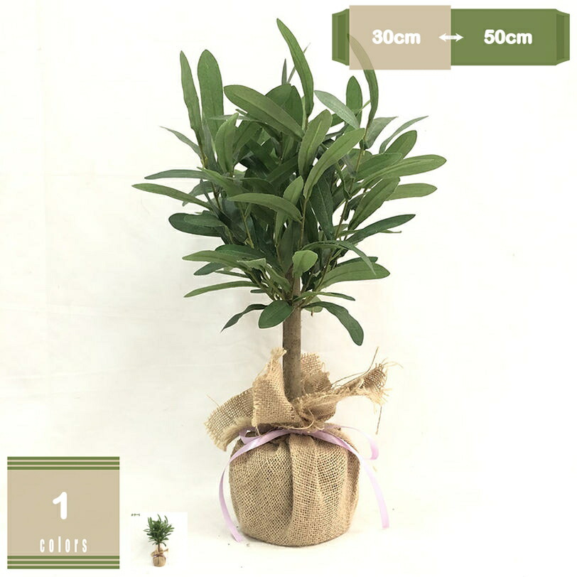 500円OFFクーポン 人工観葉植物 フェイクフラワー 鉢植え オリーブの木 インテリア 枯れない花 造花鉢植え盆栽 観葉樹 水や肥料は必要ありません インテリアグリーン おしゃれ オフィス 室内 装飾 フェイクグリーン 新築祝い 開店祝い 新年 クリスマス 店 お祝い