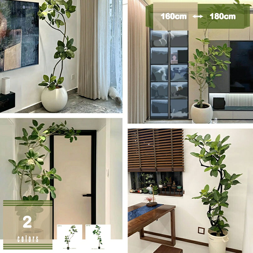 2000円OFFクーポン 160cm 180cm 選べる2サイズ フェイクグリーン 大型 観葉植物 フェイク リアル 造花 インテリア 店舗 エントランス 会議室 オフィス おしゃれ ホテル お祝い 開店祝い 開業祝い 引越し祝い 人工観葉植物 人工観葉樹 世話がない 玄関 キッチン mysco｜まいすこ　店