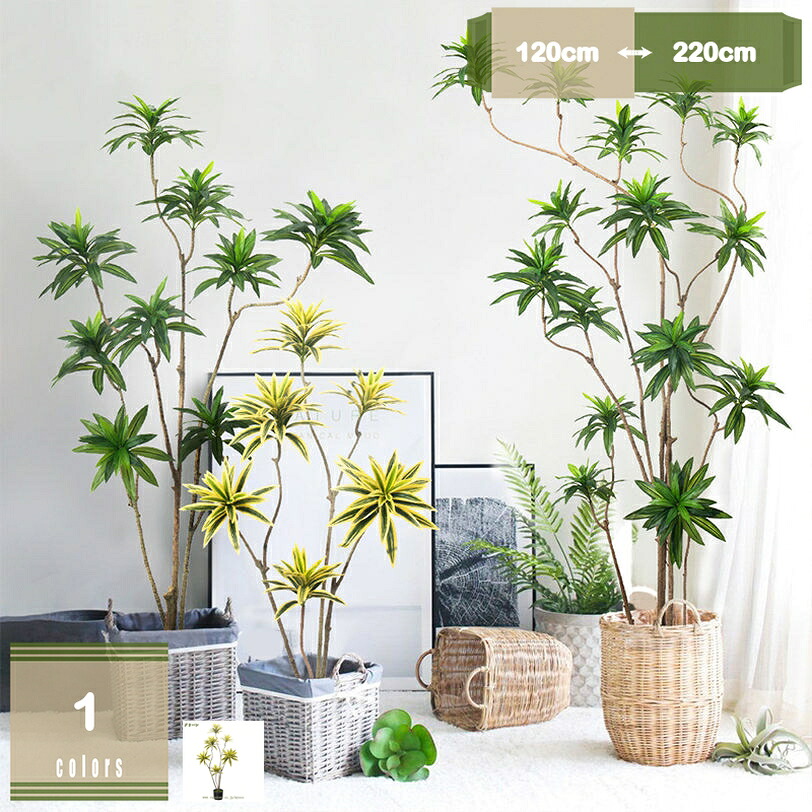 500円OFFクーポン券 フェイクグリーン 造花 観葉草木 まがい物 人工 人工観葉草木 大型 室外差しゆるす 大型 室内装飾緑であること 回廊 小天然木 本物そっくり 馬鹿でかい 弱められた 今めかしい 鉢植え 可愛らしい 造花 南国 トロピカル 室内装飾 消臭 抗菌 御祭り 開店祝賀会 開業祝賀会