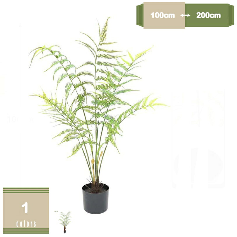 500円OFFクーポン券 観葉草木 イノモトソウ科 フェイクグリーン 人工 室内 リビング 執務室 一人暮らし 緑 室内装飾 室内装飾緑であること 消臭 抗菌 防汚 人工観葉草木 水やり不必要 虫害の気づかわしさなし 造花 観葉 草木 植木 鉢植え 営造祝賀会 開店 室内 今めかしい mysco
