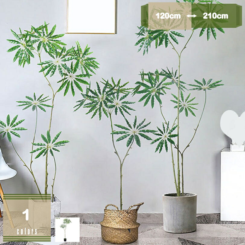 500円OFFクーポン券 観葉草木 カクタス科 フェイクグリーン 人工観葉草木 造花 消臭 抗菌 オシャレ お取りつくろう不必要 水やり不必要 本物そっくり 室内装飾 人工 今めかしい 可愛らしい 人工草木 鉢植え 話し合い室 執務室 バス発着場 エントランス状態 御祭り 開店祝賀会 mysco