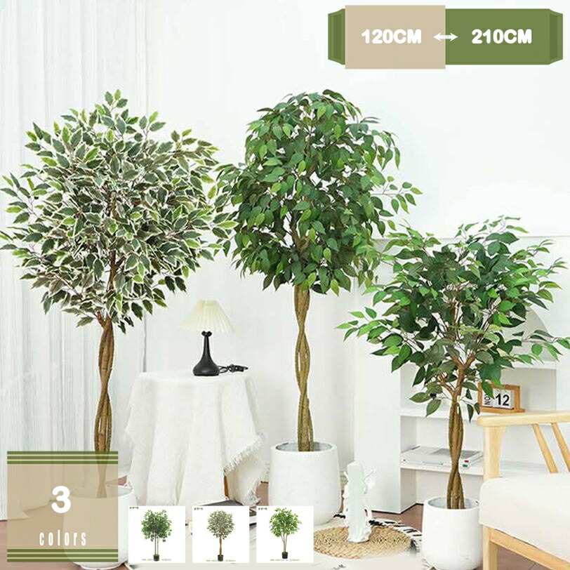 フェイクグリーン 大型 鉢植え 即物的人工あずま屋 室内装飾緑であること パウダーコンパクト納める リビング 部屋の入り口 執務室 耐久性 枯れない草木 取りつくろう不必要 バス発着場見せびらかす 人工 観葉草木 ガジュマル mysco