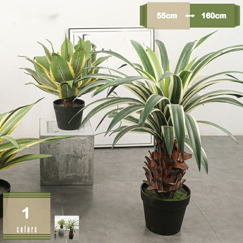 1000円OFFクーポン券 リュウゼツラン フェイクグリーン 大型 鉢植え 本当の 馬鹿でかい 人工あずま屋 お取りつくろう不必要 人工観葉草木 造花 本物そっくり バス発着場 室内 執務室 老人ホーム 開店祝賀会 営造祝賀会 風水 引き越す祝賀会 室内装飾緑であること 自然的 差し上げ物 mysco