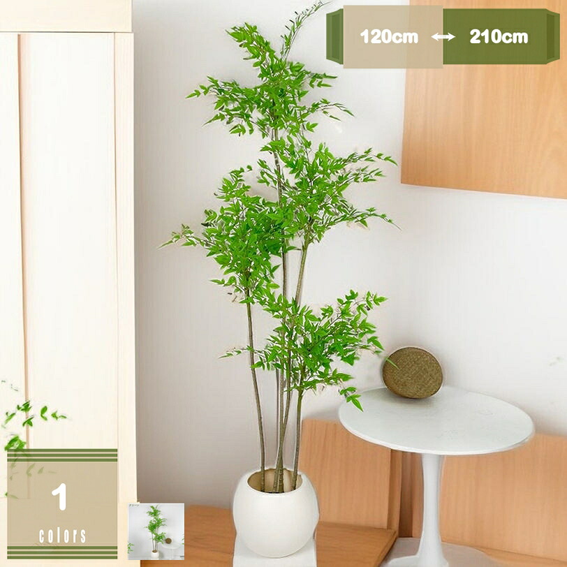 富貴竹 フェイクグリーン 大型 鉢植え 本当の 馬鹿でかい 人工あずま屋 お取りつくろう不必要 人工観葉草木 造花 本物そっくり バス発着場 室内 執務室 老人ホーム 開店祝賀会 営造祝賀会 風水 引き越す祝賀会 室内装飾緑であること 自然的 差し上げ物 mysco