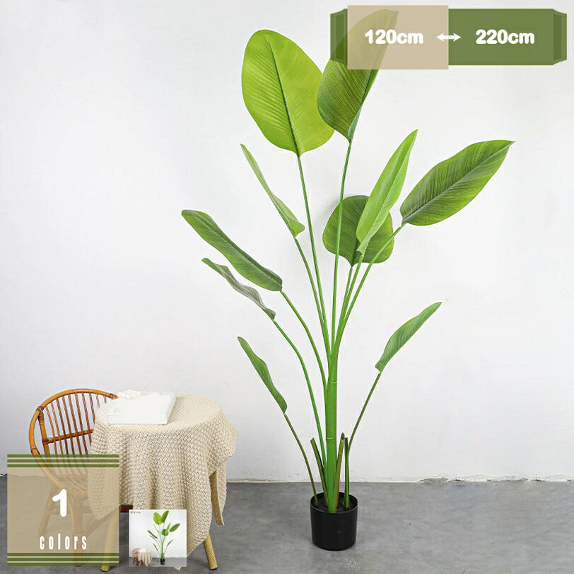 クワズイモ フェイクグリーン 人工観葉植物 観葉樹 大型 フェイクツリー シ 葉 ミュレーションツリー 飾り用 枯れない お手入れ不要 デコレーション 室内 玄関先 リビング ベッドルーム カフェ 事務所 オフィス ホーム 引越し mysco