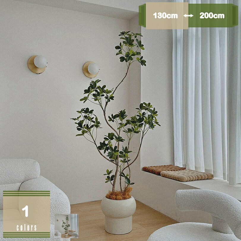 1000円OFFクーポン券 人工観葉草木 シェフレラ 観葉樹 室内装飾かざり付ける お取りつくろう飾り気の無い 心うれしいの木 リビング 執務室 店 喫茶店向けかざり付ける フェイクグリーン 人工草木 大型 造花 抗菌 消臭 営造祝賀会 開店祝賀会 新年 クリスマス 老人ホーム 室内 飾りつけ mysco
