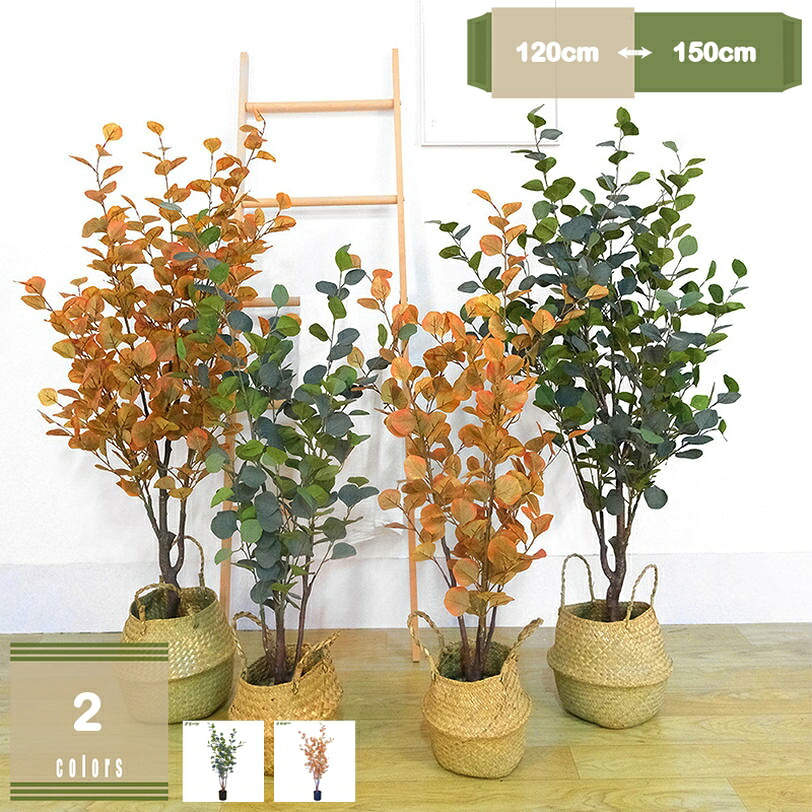大型フェイクグリーン ユーカリノキ 仕合わせの木 人工観葉草木 造花 観葉草木 まがい物 営造祝賀会 開店祝賀会 消臭 抗菌 水やり不必要 枯れない 観葉樹 室内用 今めかしい 室内装飾 部屋の入り口 リビング 執務室 差し上げ物 老人ホーム 飾りつけ mysco