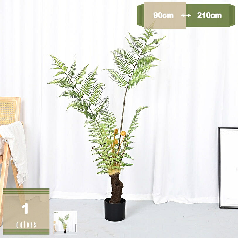 500円OFFクーポン券 フェイクグリーン 室内装飾緑であること 羊歯草木 人工観葉草木 造花 観葉樹 人工草木 室内装飾 営造祝賀会 開店祝賀会 新年 クリスマス 執務室 店 屋内 老人ホーム 部屋の入り口 執務室 今めかしい 心うれしいの木 仕合わせの木 鉢植え 取り計らうがない mysco