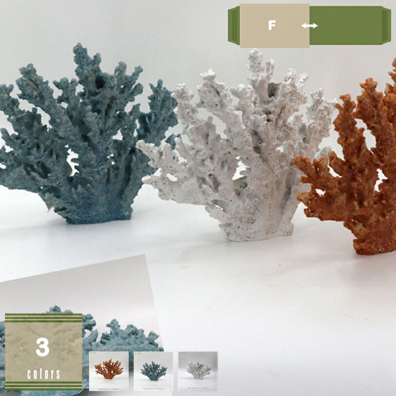 サンゴ置物　珊瑚　テーブルサンゴ　オブジェ 51jsDQXtyyL.jpg_BO30,255,255,