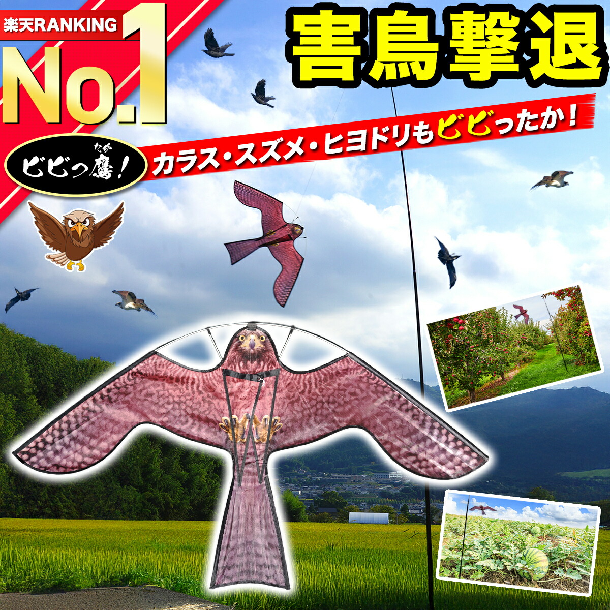 【ランキング1位獲得】 鳥よけ カイト 鷹 凧 防鳥具 鳥追いカイト イーグルカイト 害鳥対策 撃退 忌避 スズメ カラス 鳩よけ カラスよけ ヒヨドリ ムクドリ 畑 果樹園 家庭菜園 田んぼ 農園 植物保護 農作物保護 軽量 丈夫 強靭 FRP ポール 支柱付き 4m 【ビビっ鷹！】
