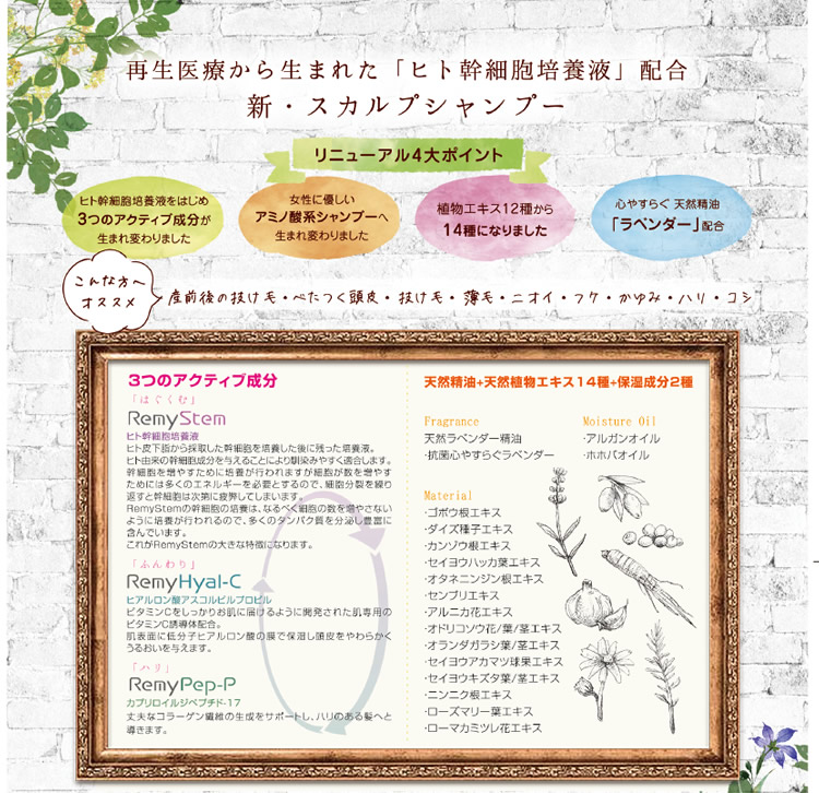 爆売り Hasmou ハスモウ スカルプシャンプー 400ml 詰め替え神シャンプー 再生医療 ヒト幹細胞培養液配合 頭皮ケア スキャルプ オープニング大放出セール Www Facisaune Edu Py