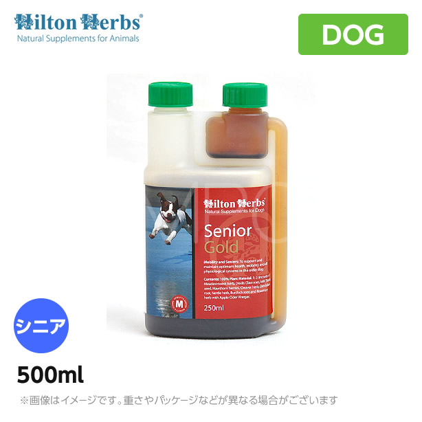 正規激安 楽天市場 ヒルトンハーブ ベテランゴールド 500ml 送料無料 犬 サプリメント ハーブミックス 泌尿器ケア サプリメント ペット用 サプリ 犬用品 Mystyleペットストア 独創的 Lexusoman Com