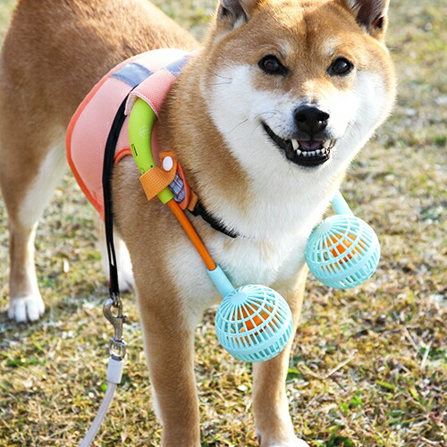 21福袋 ダブルファンドッグウェア 扇風機セットミニファンオレンジ ライムグリーンｍ ハーネス 犬 犬用 おでかけ 散歩 熱中症対策 暑さ対策 ミニ扇風機 ドッグウェア ドッグファン Whitesforracialequity Org