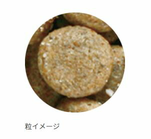 人気メーカーブランド 送料無料 ナチュラルバランス スウィートポテト ベニソンは低アレルギーのベニソンとスウィートポテトを主原料に使用した アレルギー対応ドッグフード ナチュラルバランス スウィートポテト ベニソン 5 45kg 3袋 犬 ドライフード 鹿肉 人気メーカーブランド 送料無料 ナチュラルバランス スウィートポテト ベニソンは低アレルギーのベニソンとスウィートポテトを主原料に使用した アレルギー対応ドッグフード ナチュラルバランス スウィートポテト ベニソン 5 45kg 3袋 犬 ドライフード 鹿肉