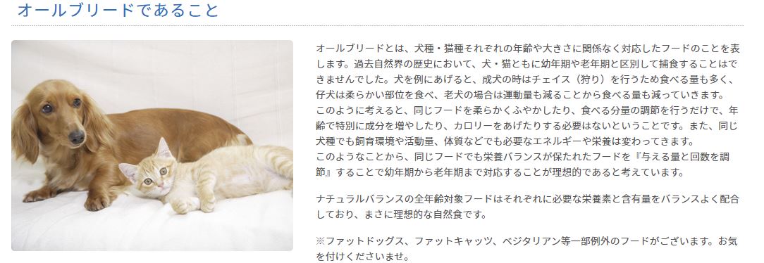 送料無料】ナチュラルバランス スウィートポテト&ベニソンは低アレルギーのベニソンとスウィートポテトを主原料に使用したアレルギー対応ドッグフード ナチュラルバランス スウィートポテト&ベニソン 5.45kg×3袋 犬(ドライフード 鹿肉 ドッグフード ペットフード 犬用品) 送料無料】ナチュラルバランス スウィートポテト&ベニソンは低アレルギーのベニソンとスウィートポテトを主原料に使用したアレルギー対応ドッグフード ナチュラルバランス スウィートポテト&ベニソン 5.45kg×3袋 犬(ドライフード 鹿肉 ドッグフード ペットフード 犬用品)