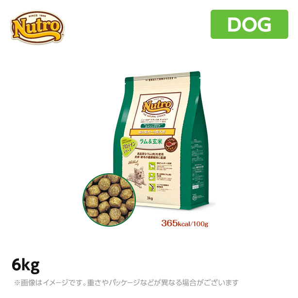 送料無料 楽天市場 ニュートロ 犬用 ナチュラル チョイス ラム 玄米 超小型犬 小型犬用 エイジングケア 6kg ペットフード Mystyleペットストア 爆売り Lexusoman Com