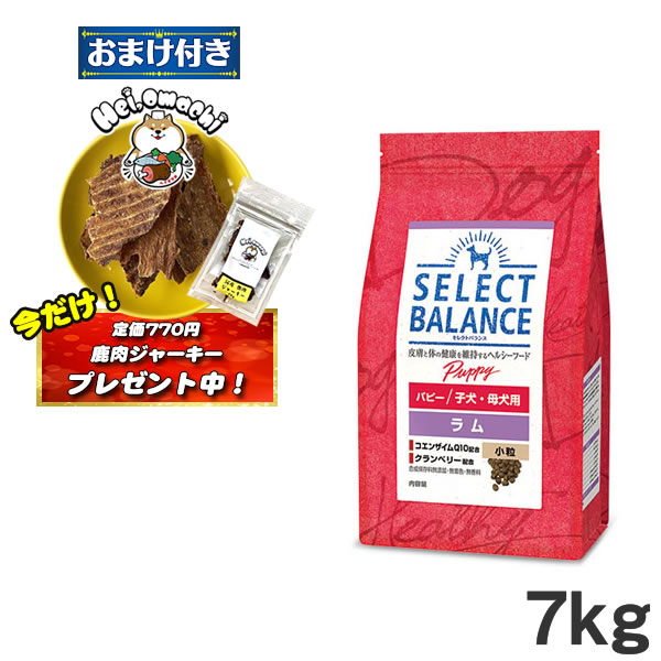楽天市場】セレクトバランス パピー ラム 小粒 子犬・母犬用 7kg
