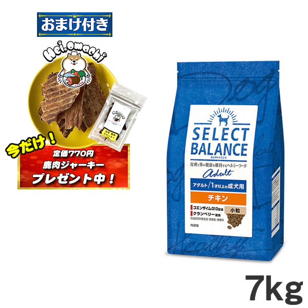 ★おまけ(定価770円)×1袋付き★セレクトバランス アダルトチキン【中粒】 7kg ドッグフード 成犬 （1070204） （ペットフード ドライフード 成犬用ドッグフード 犬用品） (老犬用 シニア)