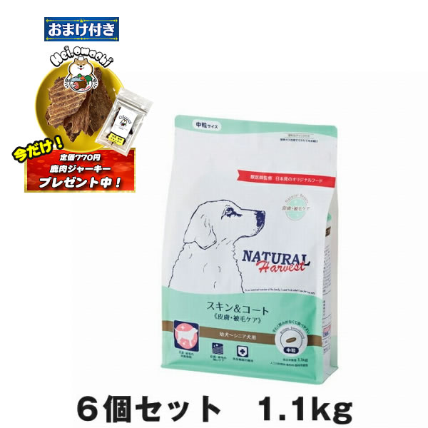 ★おまけ(定価770円)×2袋付き★【6個セット】ナチュラルハーベスト スキン＆コート 1.1kg（犬用 総合栄養食 ドライフード） (ドッグフード 犬用フード) (関節ケア)