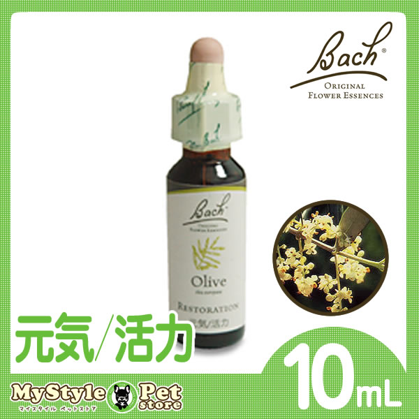バッチフラワーレメディ オリーブ(OLIVE) 10ml(ペット 動物に フラワーエッセンス) バッチフラワーレメディ オリーブ(OLIVE) 10ml(ペット 動物に フラワーエッセンス)