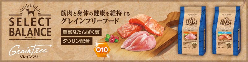 人気満点 楽天市場 セレクトバランス グレインフリー アダルト サーモン 小粒 6kg 穀類不使用 Mystyleペットストア 即納特典付き Lexusoman Com