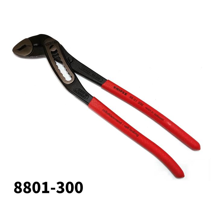 ぺん太出品 imgrc0118473041.jpg