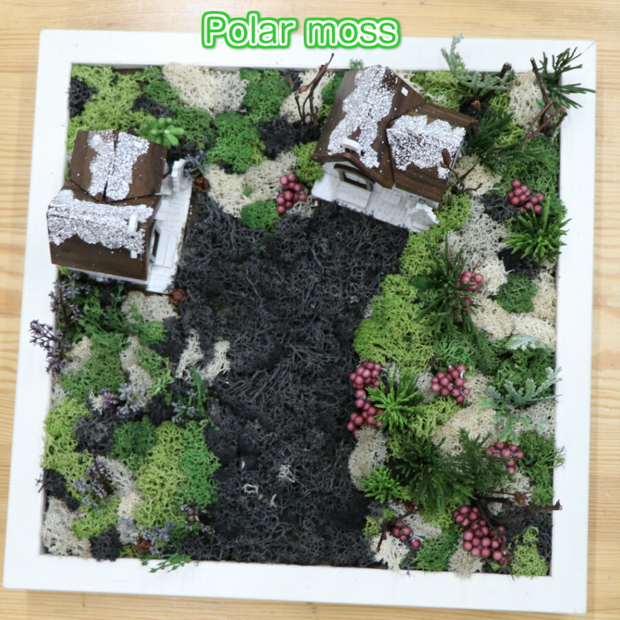 900円 少し豊富な贈り物 PolarMOSS 天然の苔16色入サンプルボックス
