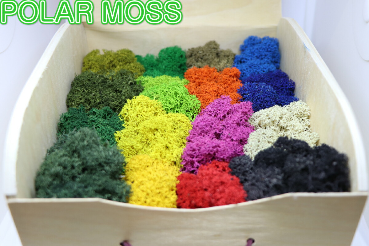 900円 超格安一点 900円 少し豊富な贈り物 PolarMOSS 天然の苔16色入サンプルボックス