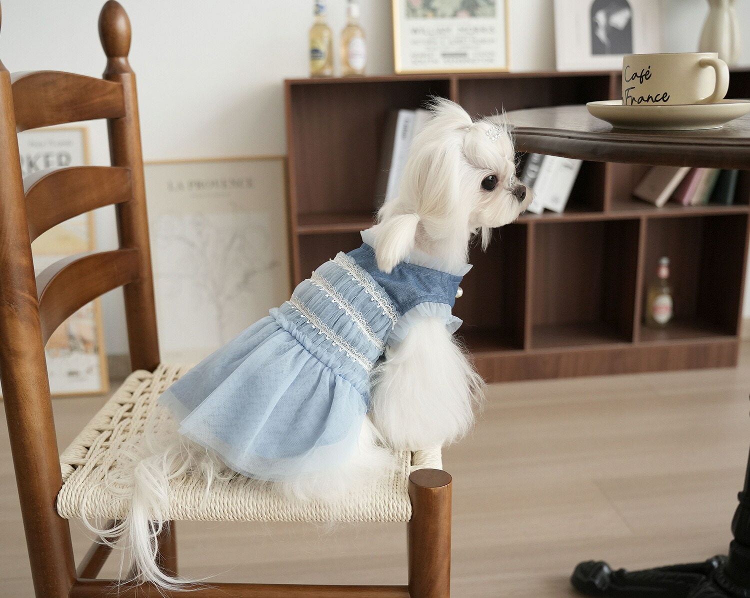 可愛い テディ ビション 犬服 春秋用 マルチーズ 小型犬 チャイニーズティーカップ 犬服 猫服 ベスト 韓国風 可愛い 犬の服 ID4452 main image 0