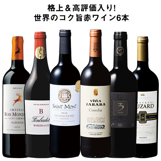 【送料無料】格上＆高評価入り!世界のコク旨赤ワイン6本セット 赤ワイン フルボディ ワインセット 【W05498】